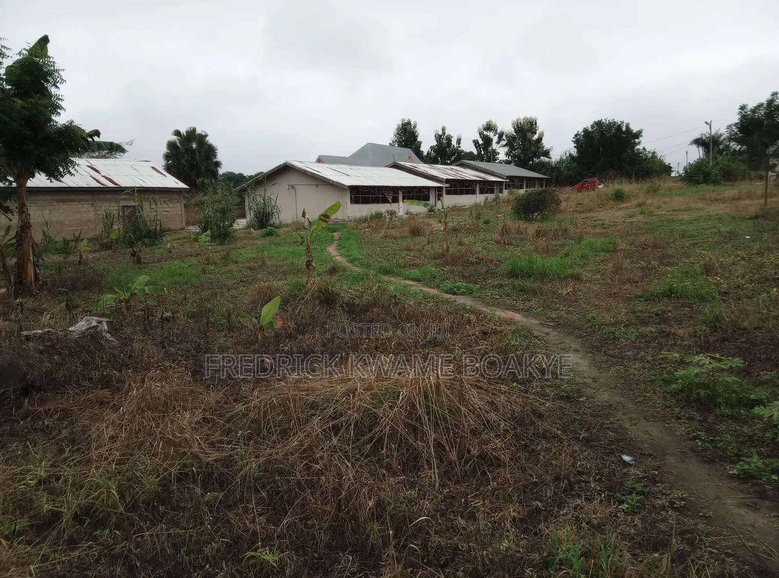 Pourtly Farm for Sale at Offinso Daaso
