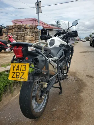 Triumph 2019 White