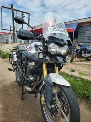 Triumph 2019 White