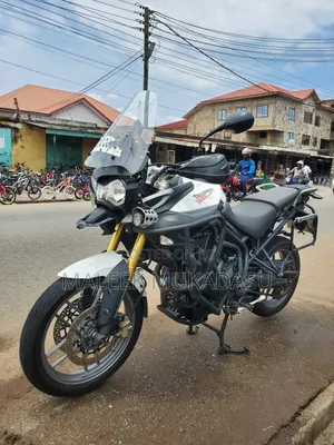 Triumph 2019 White