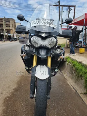 Triumph 2019 White