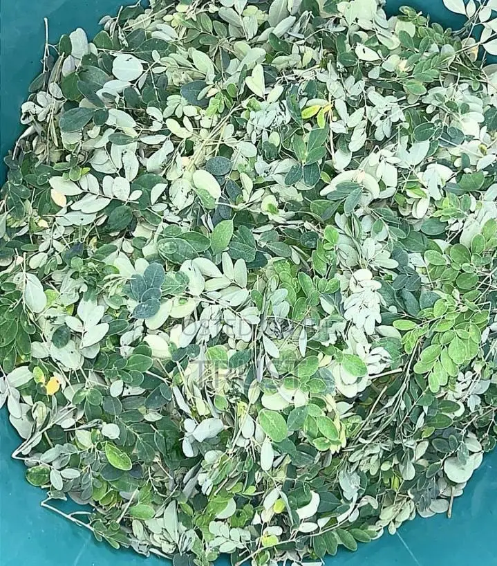 Herbal Products and Dry Spices