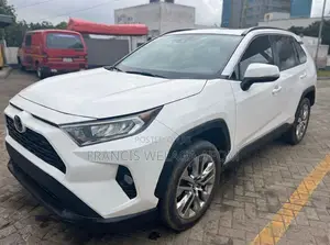 Toyota RAV4 XLE Premium AWD 2019 White