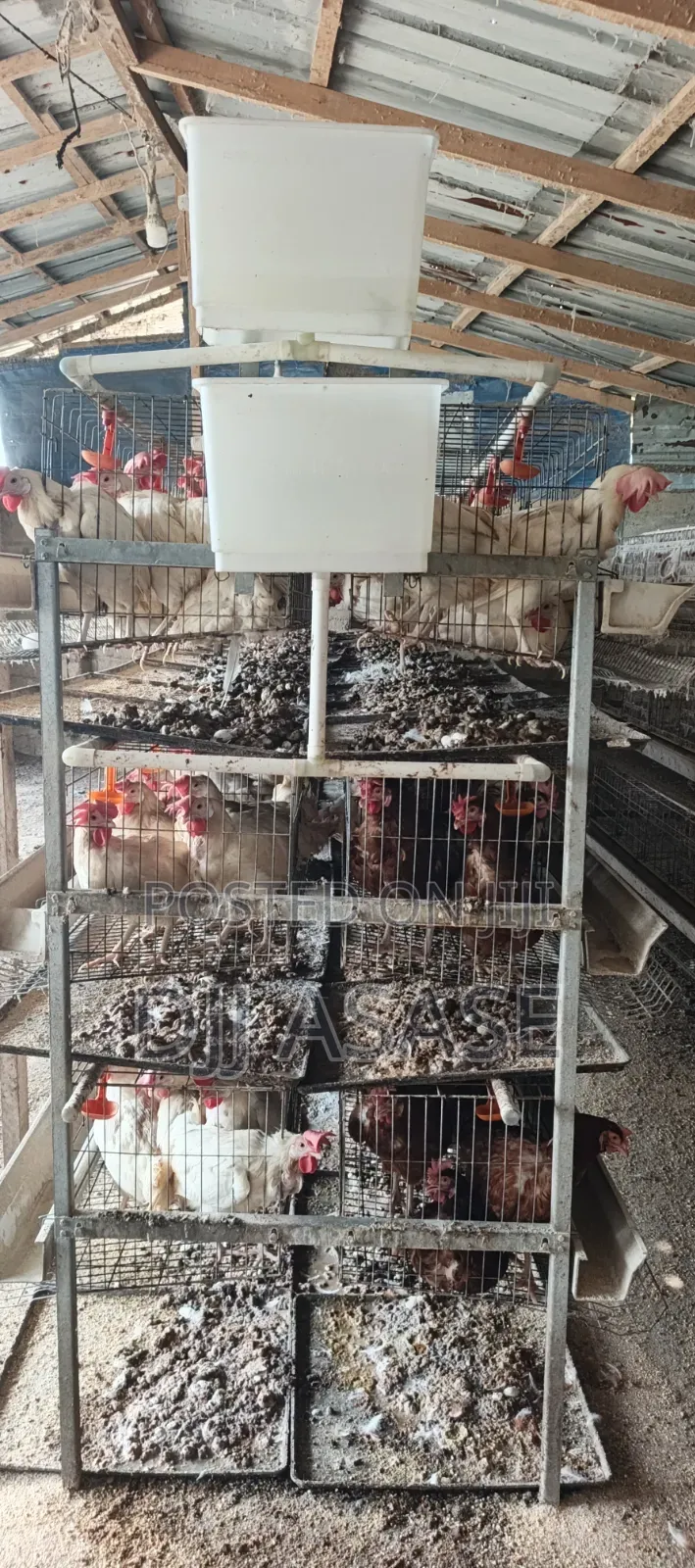 H- Type Battery Cages for Sale