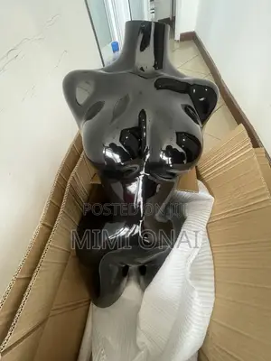 BBL Mannequin Available .