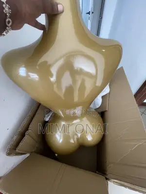 BBL Mannequin Available .