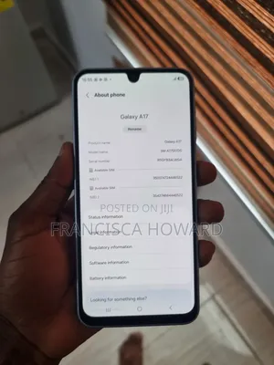 Samsung Galaxy A17 128 GB Gray
