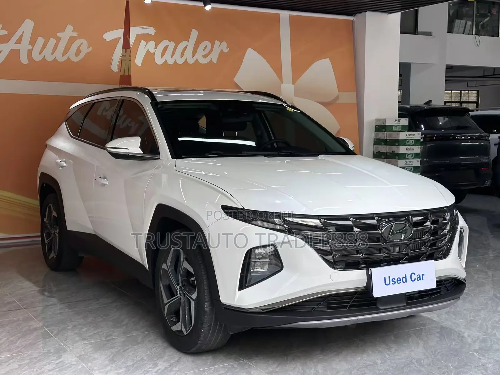 Hyundai Tucson SEL 2023 White