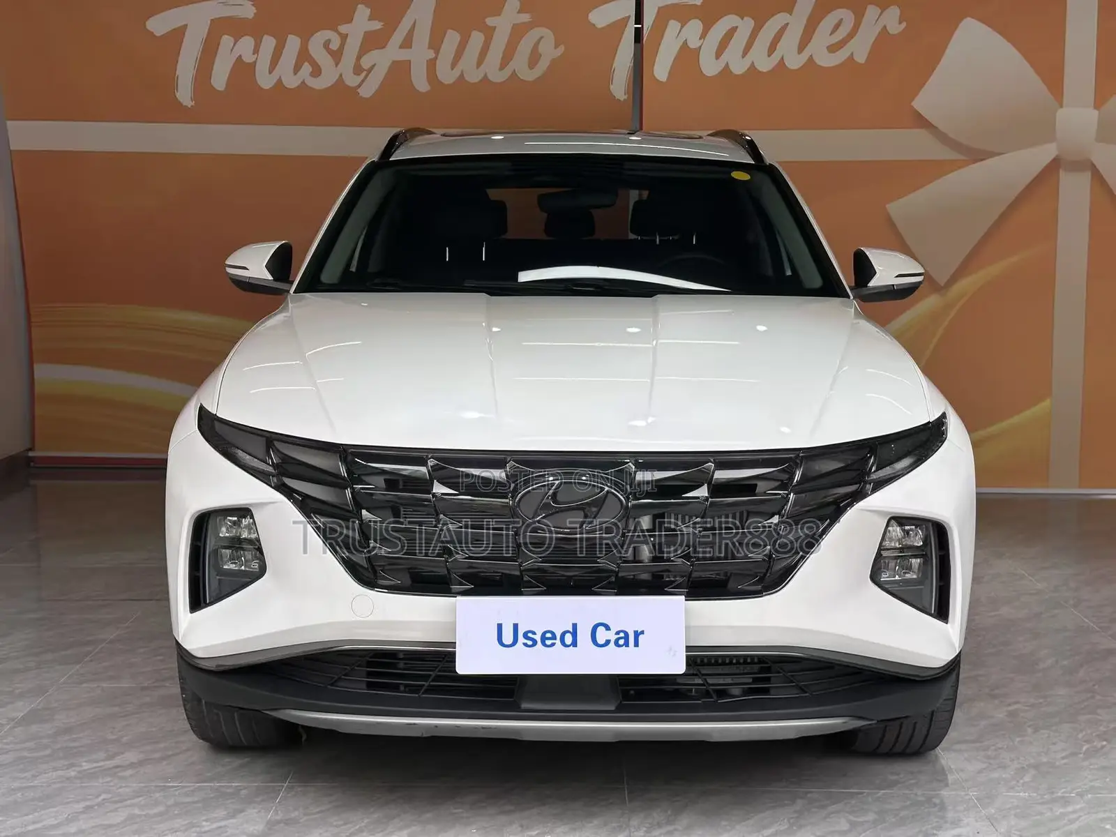 Hyundai Tucson SEL 2023 White