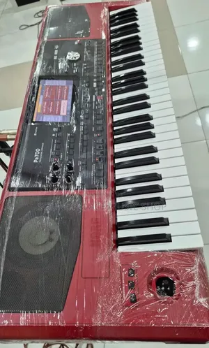 Korg Pa700 61-Key Professional Arranger