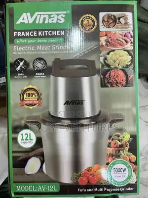 Avinas Fufu Machine 12l