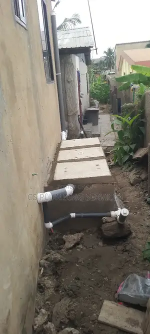 Professional Plumber - Bio-Fill Digester Expert
