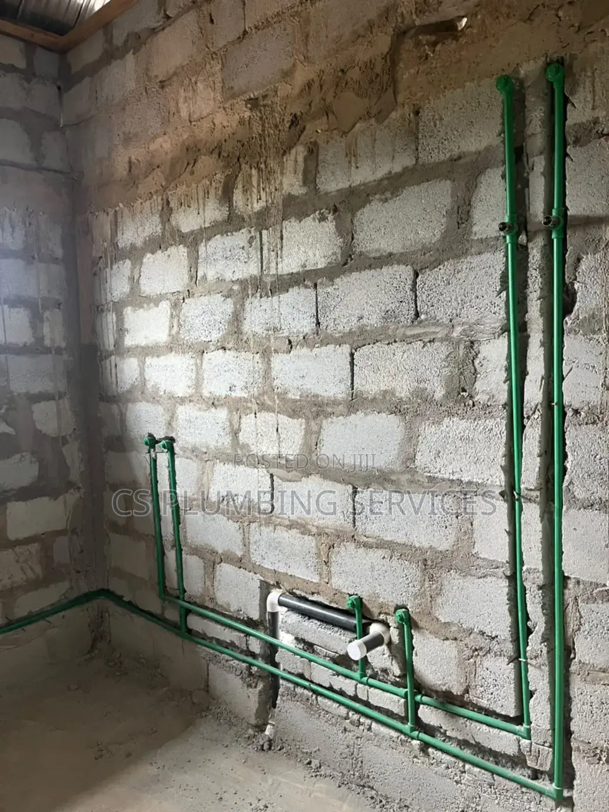 Professional Plumber - Bio-Fill Digester Expert