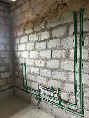 Professional Plumber - Bio-Fill Digester Expert
