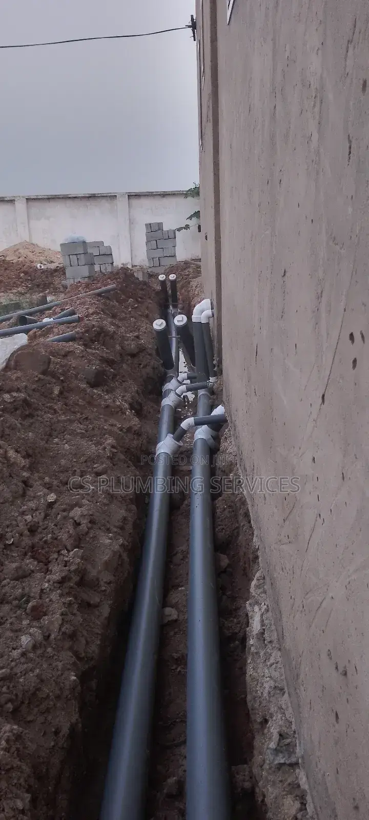 Professional Plumber - Bio-Fill Digester Expert