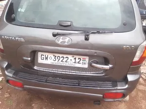 Hyundai Santa Fe 2005 Gray
