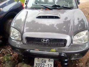 Hyundai Santa Fe 2005 Gray