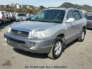Hyundai Santa Fe 2005 Gray