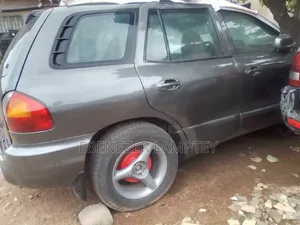 Hyundai Santa Fe 2005 Gray