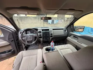 Ford F-150 2012 Gray