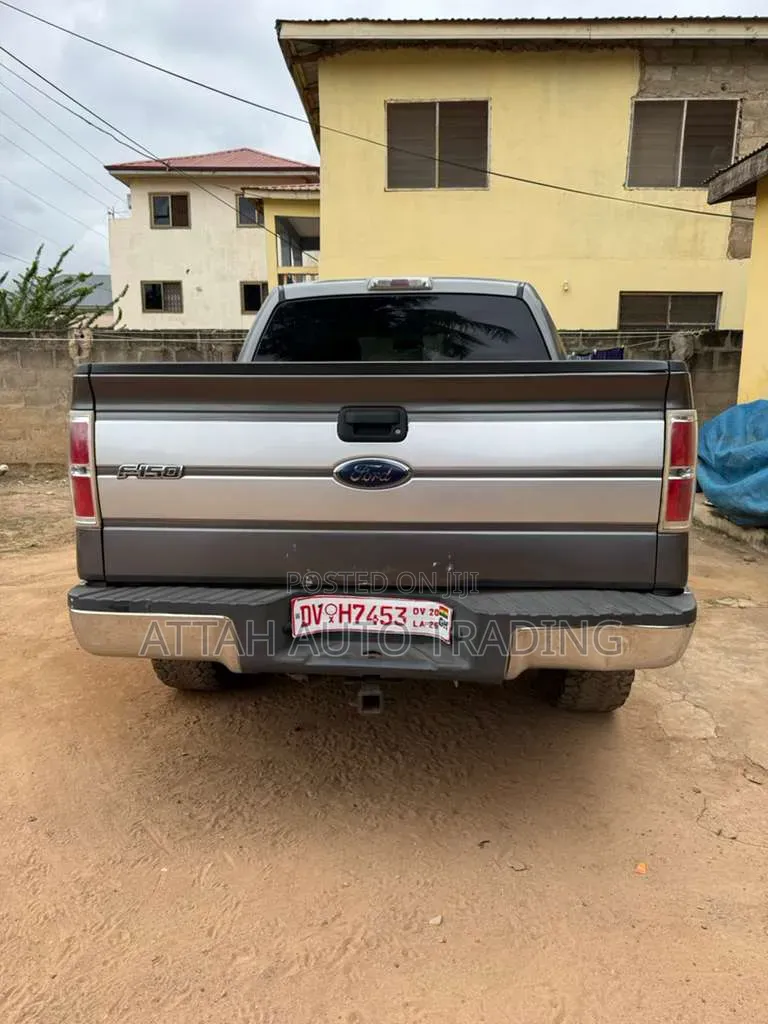 Ford F-150 2012 Gray