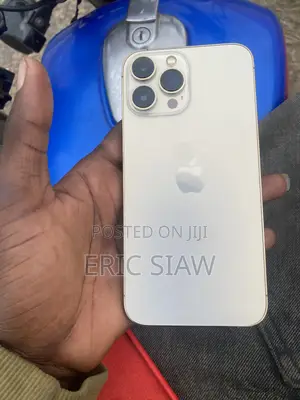 Apple iPhone 13 Pro Max 128 GB Silver