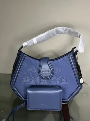 Ladies Hand Bag