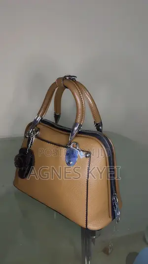 Ladies Hand Bag