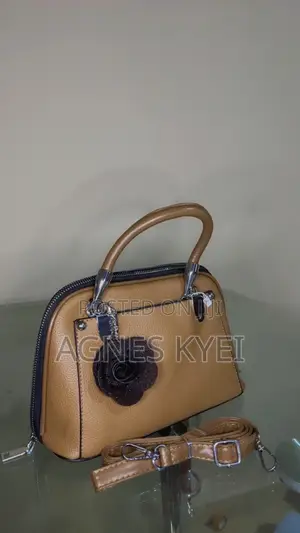 Ladies Hand Bag
