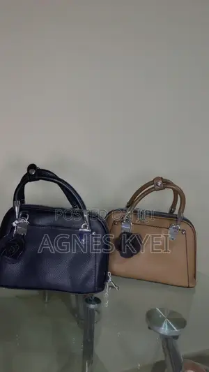 Ladies Hand Bag