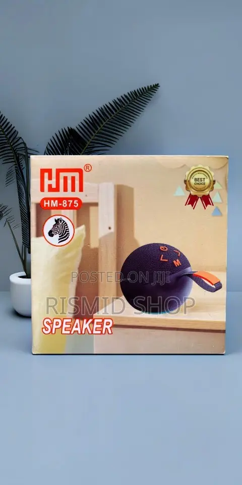 Hm-875 Bluetooth Music Speaker