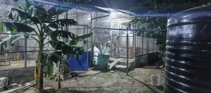Furnished 2bdrm Farm House in Mango Lane, Kasoa for sale
