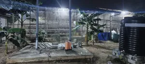 Furnished 2bdrm Farm House in Mango Lane, Kasoa for sale