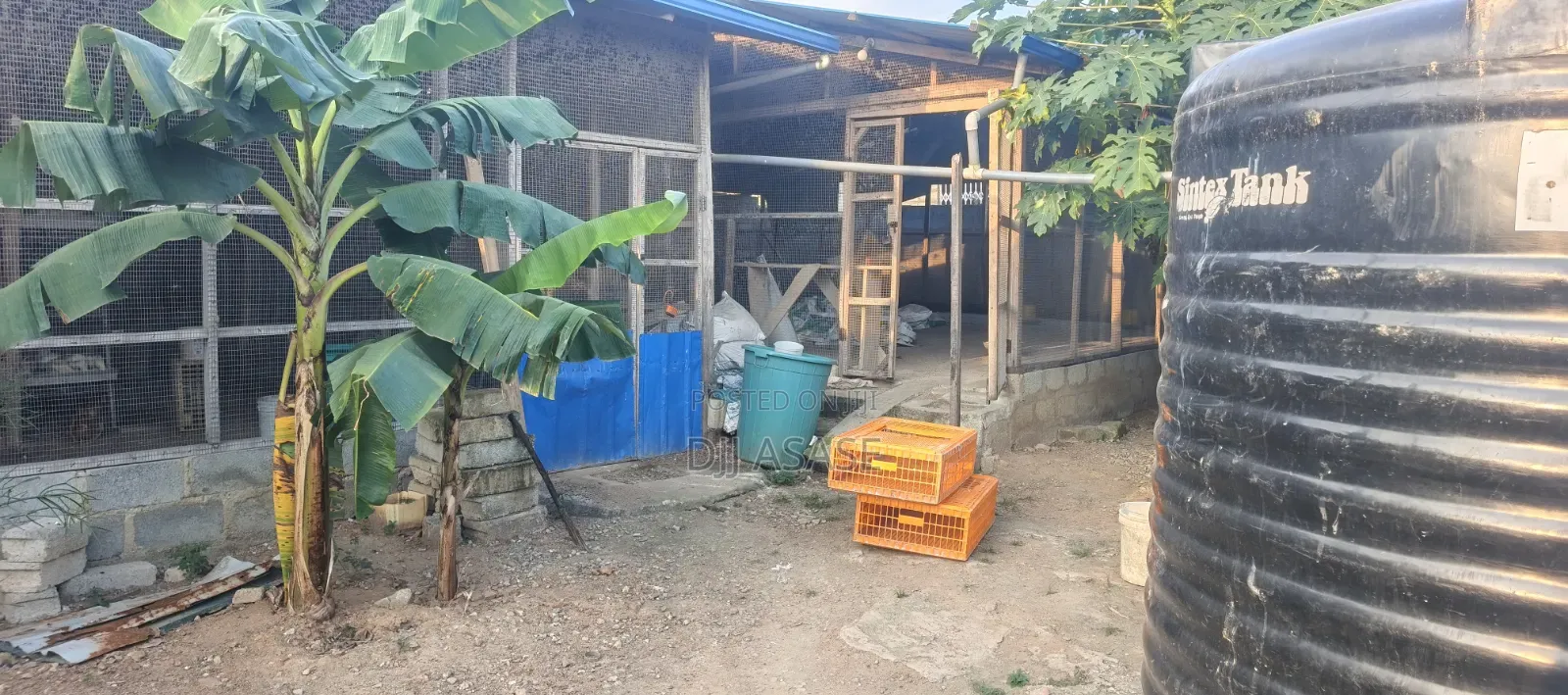 Furnished 2bdrm Farm House in Mango Lane, Kasoa for sale