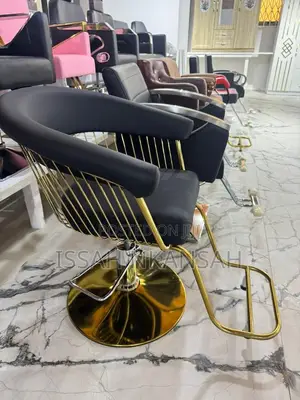Salon Chair