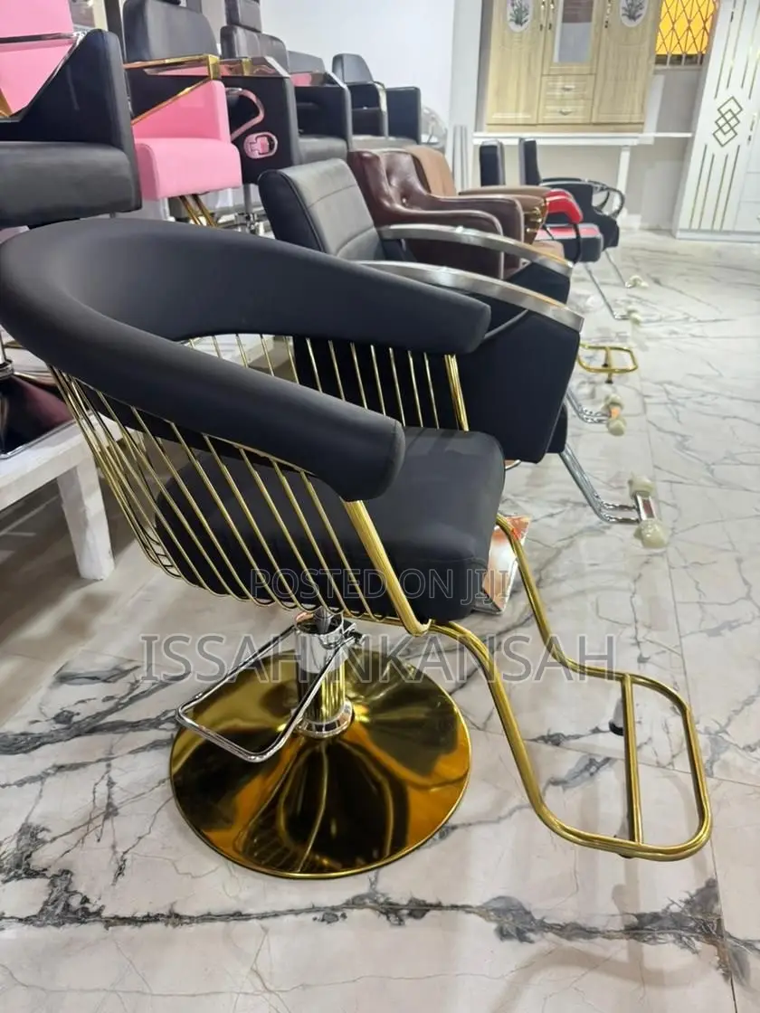 Salon Chair