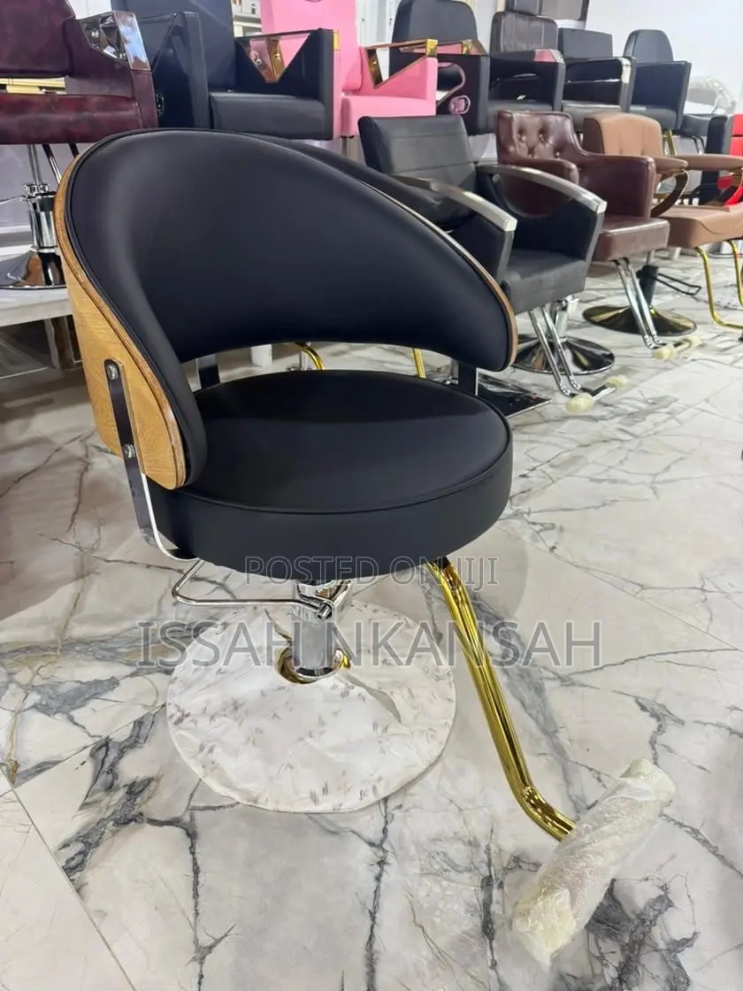 Salon Chair