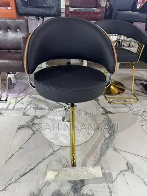 Salon Chair