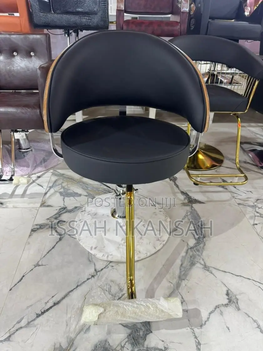 Salon Chair
