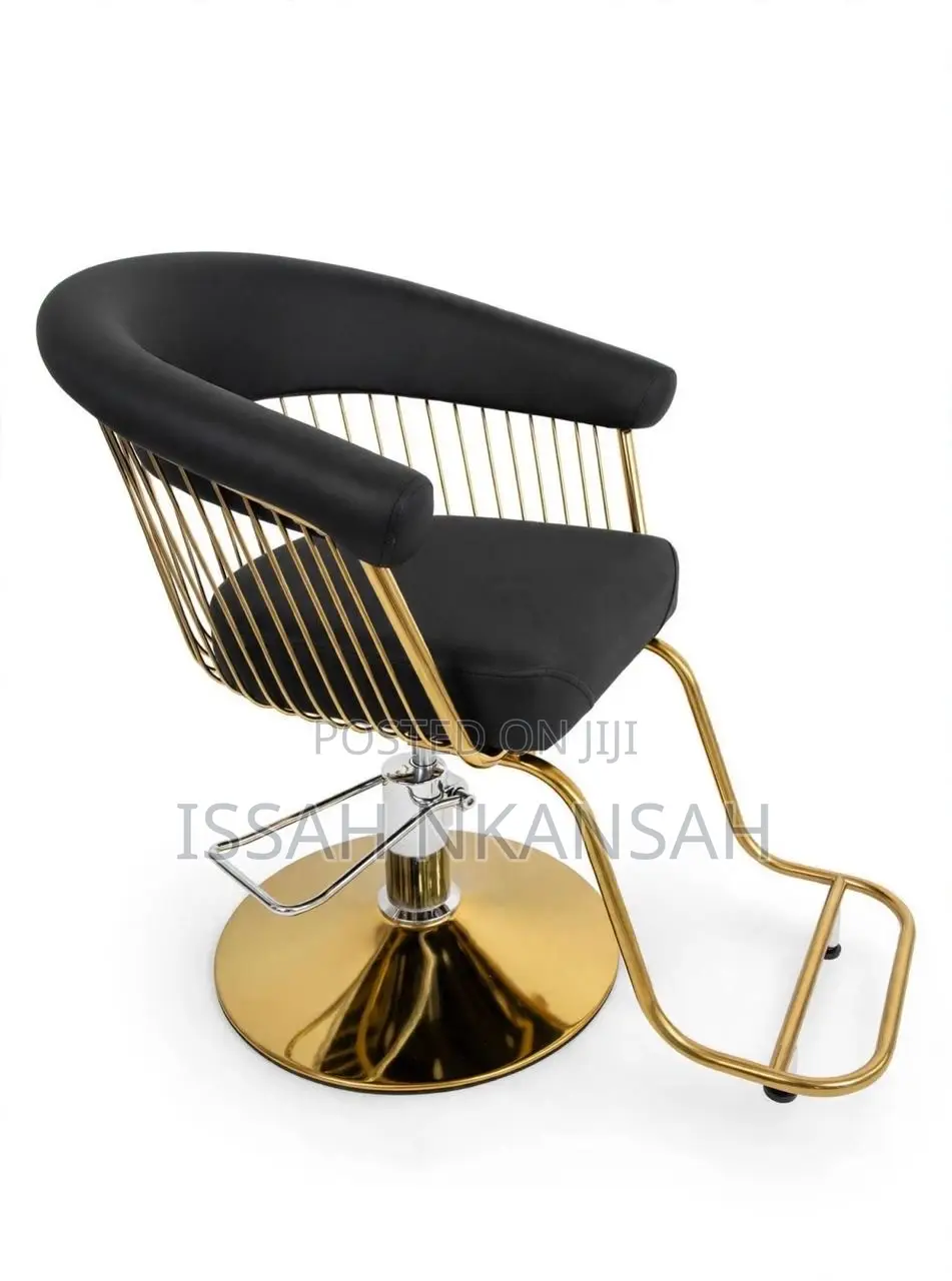 Salon Chair