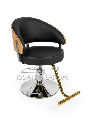 Salon Chair