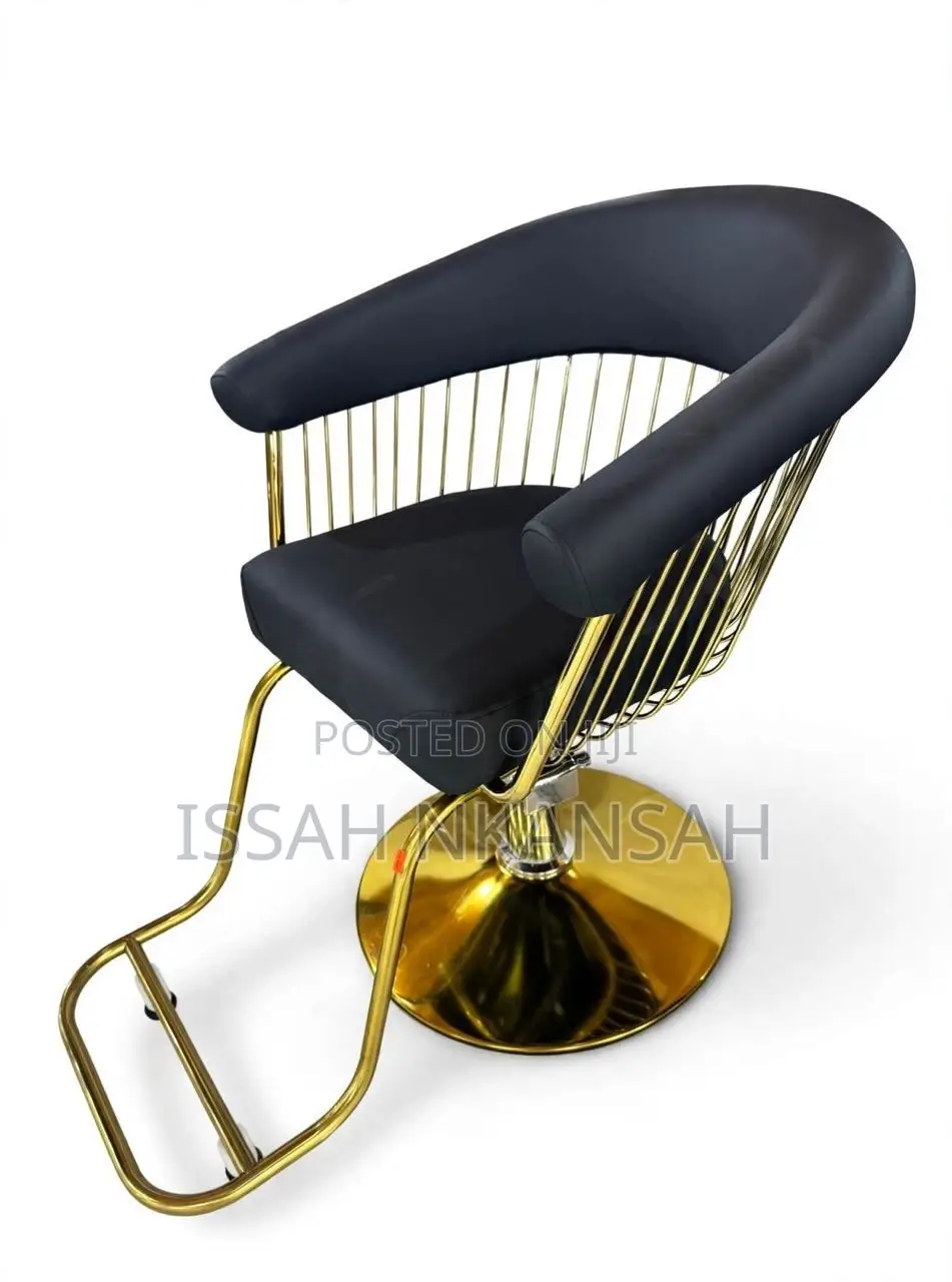 Salon Chair