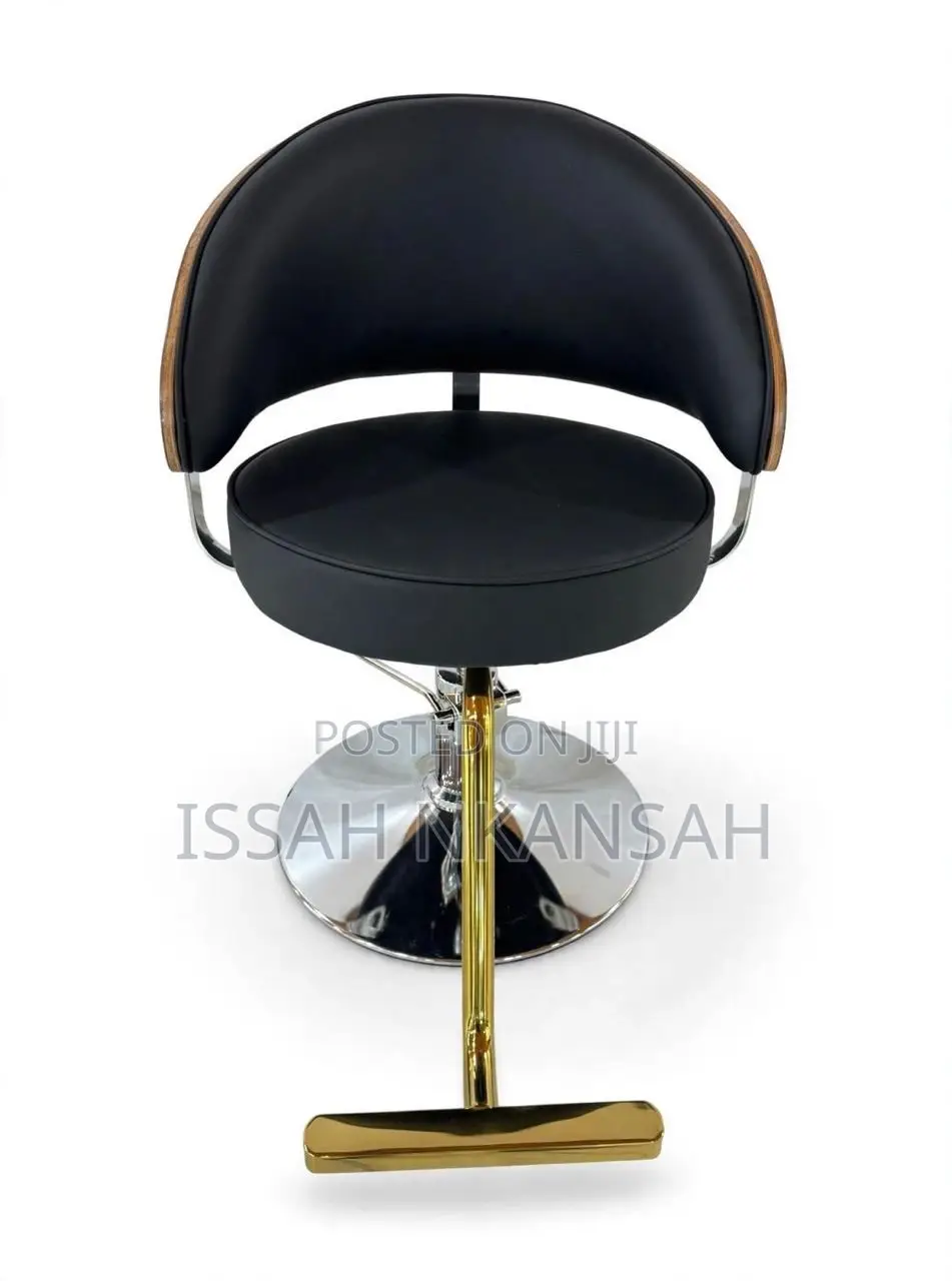 Salon Chair