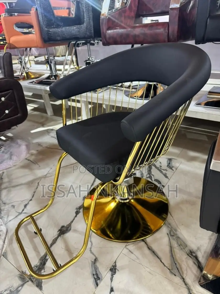 Salon Chair