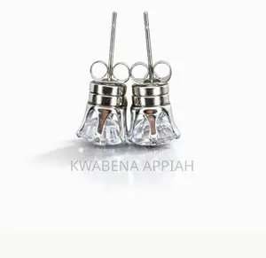 Magnetic Earring