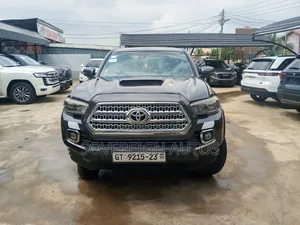 Toyota Tacoma 2019 Gray