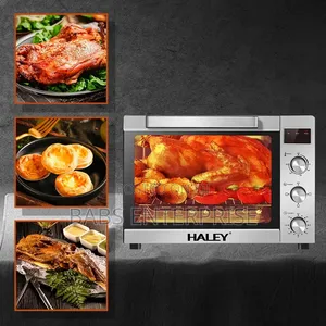 Haley Electric Oven 65 LTR