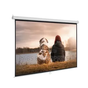 Burotika BW18-244 244cmx244cm Wall Screen