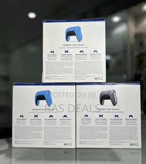 pS5 Controller