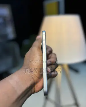 Apple iPhone 15 Pro Max 256 GB Silver
